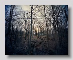 jerry_spagnoli_09
