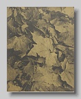 Robert_Stivers_leaves