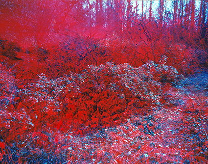 © Oleg Malevany. The Red Meditation, 1987